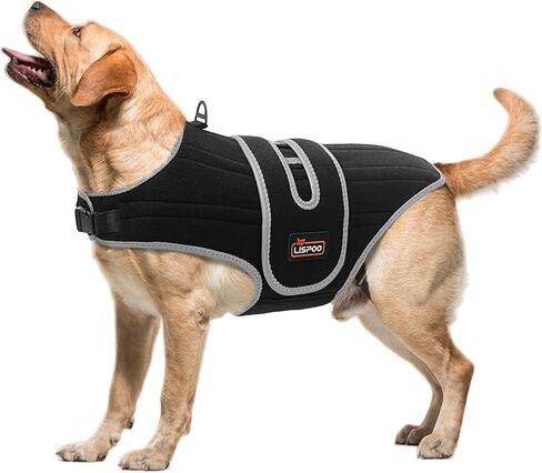 IVDD Dog Back Brace for Slipped and Herniated Discs - Back Brace for Dachshunds and Corgis, Ensuring Spinal Stability and Pain Relief S in Kuwait