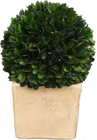 Preserved Boxwood Topiary Lush Boxwood Large Bowl Topiary for Bedroom Office Cubicle Shelf Decor Window Plant Shelf Decoration Dorm Kitchen Luxury Home Decor Accent(Terracotta Pot, 17 inch) in Saudi Arabia