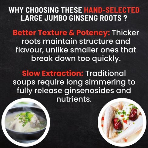Ginseng Root - Premium Large Canadian Ginseng Roots 227g | 5-Year Dried Roots for Ginseng Soup - Authentic Herbal Supplement for Energy, Focus & Immunity in Saudi Arabia