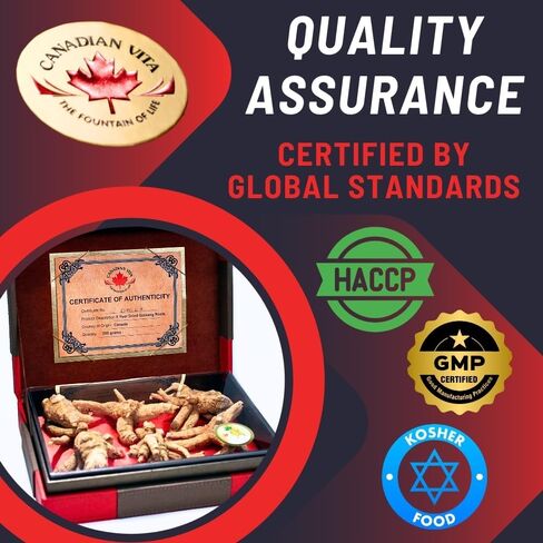Ginseng Root - Premium Large Canadian Ginseng Roots 227g | 5-Year Dried Roots for Ginseng Soup - Authentic Herbal Supplement for Energy, Focus & Immunity in Saudi Arabia