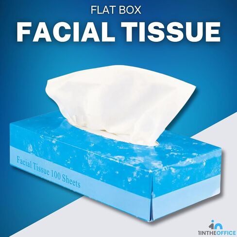 1InTheOffice Facial Tissue, Tissue Paper Box, Facial Tissue Paper, 2-Ply, Soft and Strong, Flat Box, White, 100 Sheets/Box, 6 Boxes in Saudi Arabia