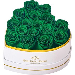 Eterfield Forever Flowers in Heart Shape Box, Preserved Roses That Last Over a Year Preserved Flowers Birthday for Her Mom Women Wife Valentine's Day Mother's Day (47 Roses, Red) in Kuwait