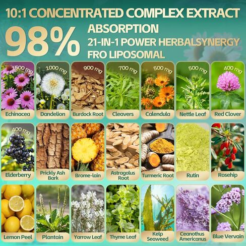 مكملات التصريف اللمفاوي الشحمي 21 في 1، كمية تكفي 100 يوم، 6000 مجم دعم النظام الليمفاوي للنساء والرجال الذين يعانون من الإشنسا والهندباء والأرقطيون والبروميلين والآذريون والكركم والمزيد، 300 كبسولة هلامية in Kuwait