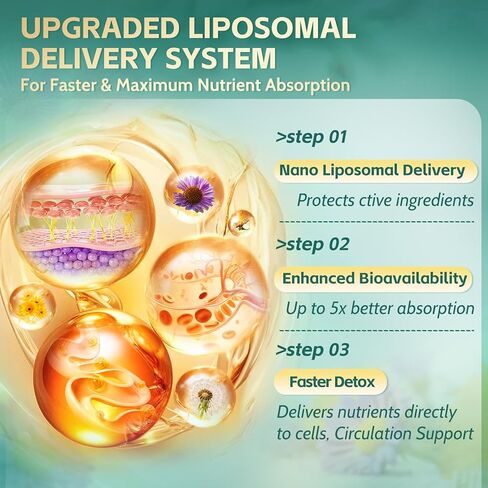 مكملات التصريف اللمفاوي الشحمي 21 في 1، كمية تكفي 100 يوم، 6000 مجم دعم النظام الليمفاوي للنساء والرجال الذين يعانون من الإشنسا والهندباء والأرقطيون والبروميلين والآذريون والكركم والمزيد، 300 كبسولة هلامية in Kuwait