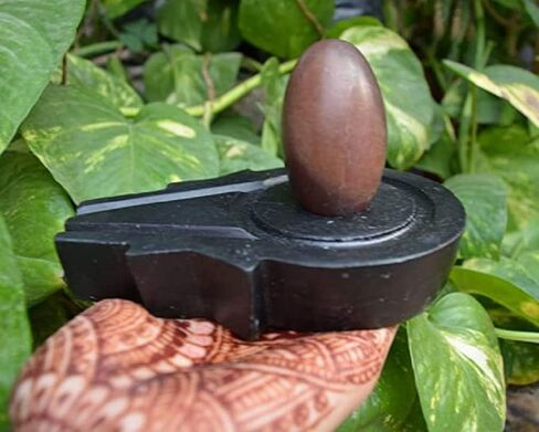 Narmadeshwar Shivling مع Jaldhara Abhishekam Set Stand Lota Trishul (مجموعة أطباق بوجا)، أسود، بني in Kuwait