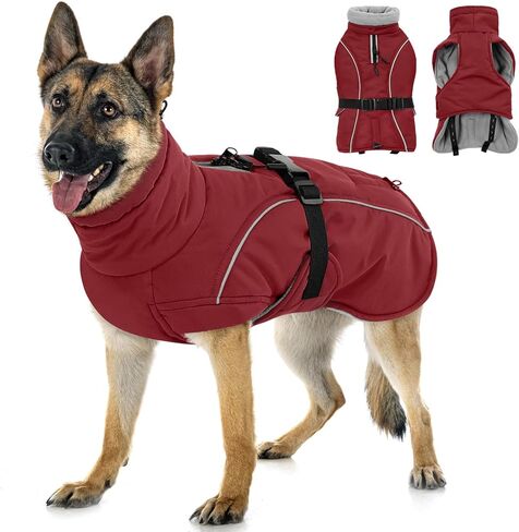 Queenmore Medium Dog Coat, Winter Dog Jacket, Waterproof Puffy Dog Snowsuit, Adjustable Reflective Fleece Lining Warm Padding Parka for Cold Weather, Red M in Saudi Arabia