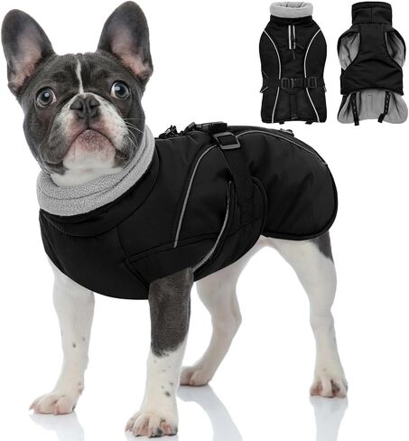Queenmore Medium Dog Coat, Winter Dog Jacket, Waterproof Puffy Dog Snowsuit, Adjustable Reflective Fleece Lining Warm Padding Parka for Cold Weather, Red M in Saudi Arabia