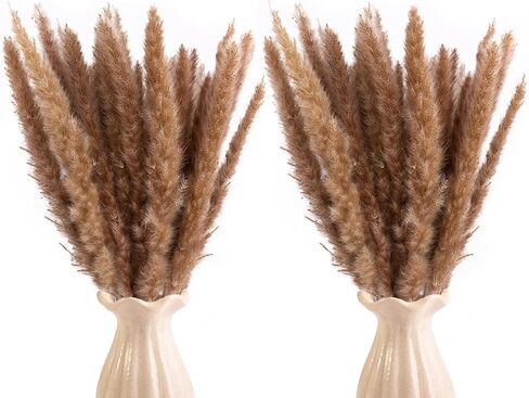 Uieke 300Pcs Natural Dried Pampas Grass Plume 17inch Tall Dried Flowers Bulk Reed Dried Plants for Wedding Flower Arrangements Farmhouse Wreath Door Centerpiece Home Décor Brown in Kuwait
