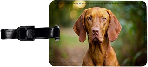 Vizsla Dog Photo Travel Faux Leather Luggage Tag in Saudi Arabia