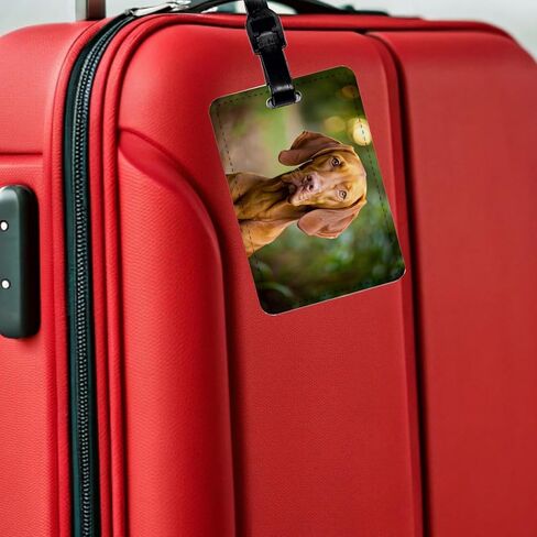 Vizsla Dog Photo Travel Faux Leather Luggage Tag in Saudi Arabia