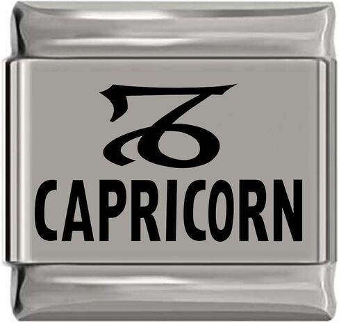 NewCharms Capricorn Zodiac Laser Engraved Italian Charm (9mm Standard Size) in Saudi Arabia