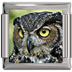 Owl Face Italian Charm in Saudi Arabia