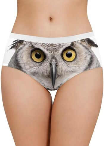 Dellukee Sexy Underwear for Women Soft Hipster Panties Stretch Breathable Bikini Lace Boxer Briefs in Saudi Arabia