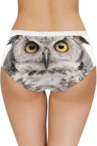 Dellukee Sexy Underwear for Women Soft Hipster Panties Stretch Breathable Bikini Lace Boxer Briefs in Saudi Arabia