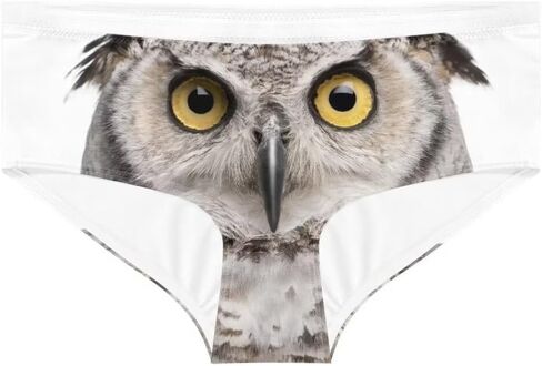 Dellukee Sexy Underwear for Women Soft Hipster Panties Stretch Breathable Bikini Lace Boxer Briefs in Saudi Arabia