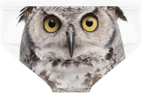 Dellukee Sexy Underwear for Women Soft Hipster Panties Stretch Breathable Bikini Lace Boxer Briefs in Saudi Arabia