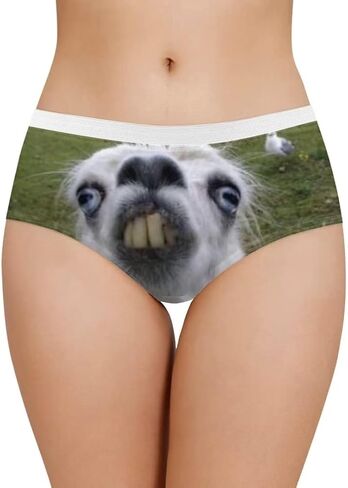 Dellukee Sexy Underwear for Women Soft Hipster Panties Stretch Breathable Bikini Lace Boxer Briefs in Saudi Arabia