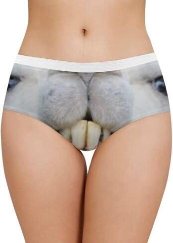 ملابس داخلية مثيرة للنساء من Dellukee سراويل داخلية ناعمة قابلة للتمدد وقابلة للتنفس من الدانتيل in Kuwait