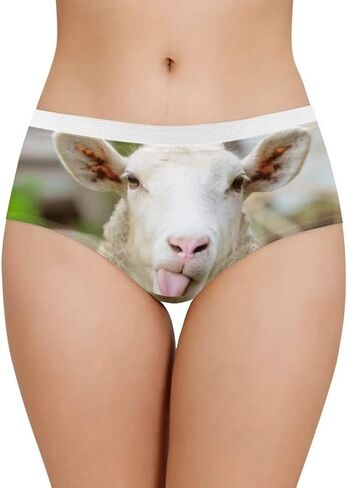 Dellukee Sexy Underwear for Women Soft Hipster Panties Stretch Breathable Bikini Lace Boxer Briefs in Saudi Arabia