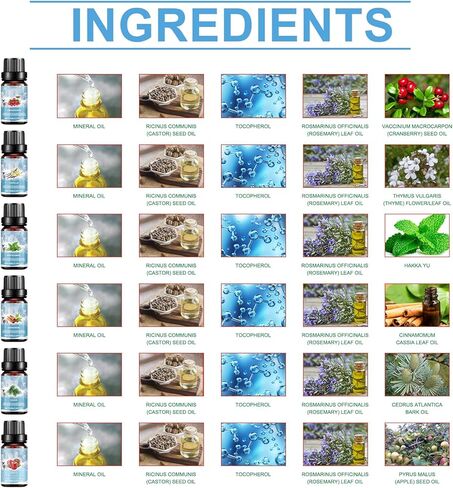 مجموعة زيوت عطرية لعيد الميلاد، زيوت عطرية شتوية، مجموعة هدايا زيت معطرة لمدفأة عيد الميلاد - التوت البري، الفانيليا، النعناع، ​​القرفة، الأرز، التفاح، 6 قطع in Kuwait
