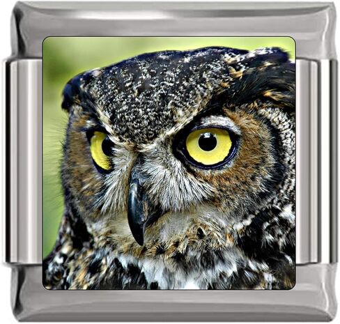Owl Face Italian Charm in Saudi Arabia