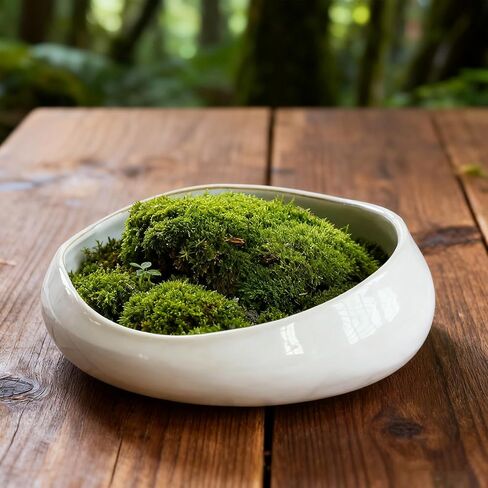 Decorative Bowl Free-Form Rim Glazed Ceramic Fruit Bowl for Kitchen Counter Ceramic Dining Room Table Centerpiecekey Bowl for Entryway Table|Dishwasher & Microwave Safe in Saudi Arabia