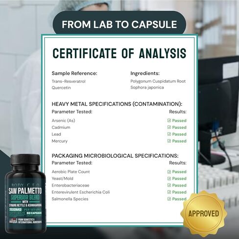 Saw Palmetto للرجال - صحة البروستاتا ودعم المسالك البولية - نبات القراص اللاذع والأشواغاندا والليكوبين - يدعم تدفق المثانة الصحي ووظيفة البروستاتا - 60 كبسولة in Kuwait