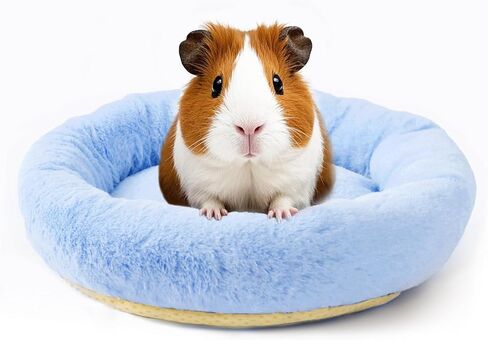 FEBSNOW Guinea Pig & Hamster Bed for Small Animals with Hair Remover Brush in Kuwait
