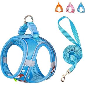 Dog Harness Small Sized Dog, No Pull Adjustable Reflective Step-in Puppy Harness with Leash Set for Extra-Small/Small Medium Large Dogs and Cats(Blue, Small) in Kuwait