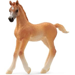 Schleich Horse Club New 2024 Horse Animal Toy Arab Foal Horse Figurine