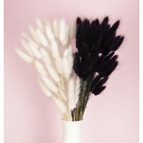 120pcs Light-Purple Bunny Tail Pampas Grass Dried Flowers for Vase Boho Flowers Dried Babys Breath Wedding Decor Dry Flowers for Vase (Purple 120 PCS)