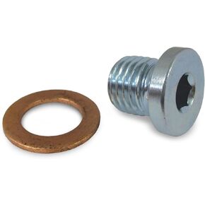 Polaris Ranger 570 700 800 900 ETX UTV Engine Oil Drain Plug and Washer 7052306