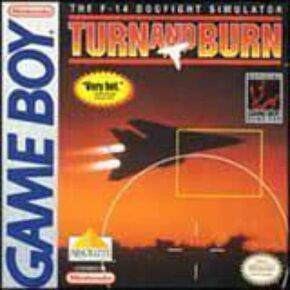 Turn And Burn The F-14 Dogfight Simulator (Renewed)