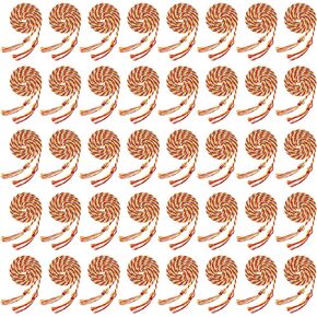Wholelovein 40 Pack Graduation Honor Ropes Cords Bulk, Yarn Honor Cords with Tassel for High School Bachelor Gown College Graduation 2025(Red)