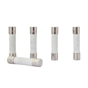 LOCORED 20PCS 10A 250V Slow Blow Ceramic Fuses T10AH250V 6x30mm 10 amp 250Volts Fuse 0.24 x1.18 Inch Time Delay Cartridge Tube Fuse UL Listed