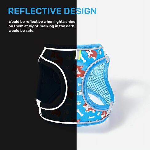 Dog Harness Small Sized Dog, No Pull Adjustable Reflective Step-in Puppy Harness with Leash Set for Extra-Small/Small Medium Large Dogs and Cats(Blue, Small) in Kuwait