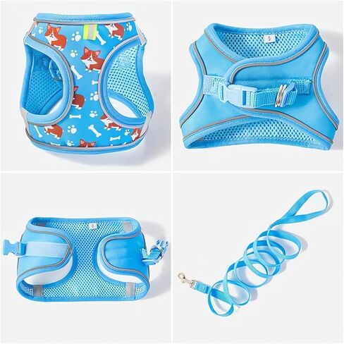 Dog Harness Small Sized Dog, No Pull Adjustable Reflective Step-in Puppy Harness with Leash Set for Extra-Small/Small Medium Large Dogs and Cats(Blue, Small) in Kuwait