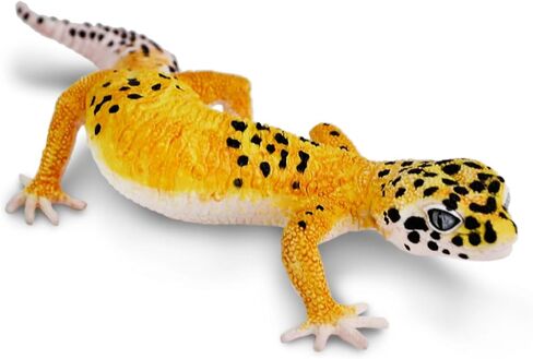 Safari Ltd. Leopard Gecko Figurine - Detailed 7" Plastic Model Figure - Fun Educational Toy for Boys, Girls & Kids Ages 3+ in Saudi Arabia