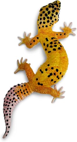 Safari Ltd. Leopard Gecko Figurine - Detailed 7" Plastic Model Figure - Fun Educational Toy for Boys, Girls & Kids Ages 3+ in Saudi Arabia