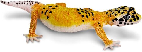 Safari Ltd. Leopard Gecko Figurine - Detailed 7" Plastic Model Figure - Fun Educational Toy for Boys, Girls & Kids Ages 3+ in Saudi Arabia