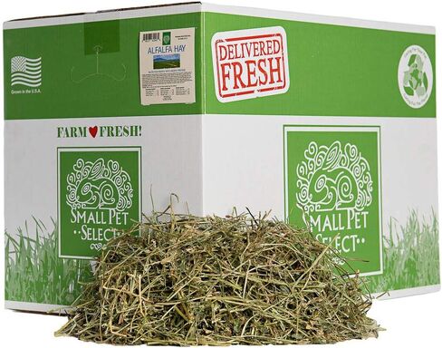 Small Pet Select Alfalfa Hay Pet Food, 2 lb. in Saudi Arabia