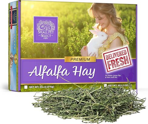 Small Pet Select Alfalfa Hay Pet Food, 2 lb. in Saudi Arabia