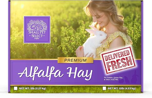 Small Pet Select Alfalfa Hay Pet Food, 2 lb. in Saudi Arabia