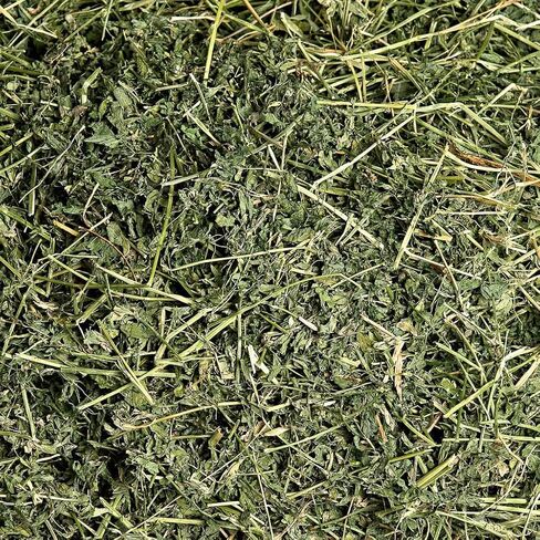 Small Pet Select Alfalfa Hay Pet Food, 2 lb. in Saudi Arabia