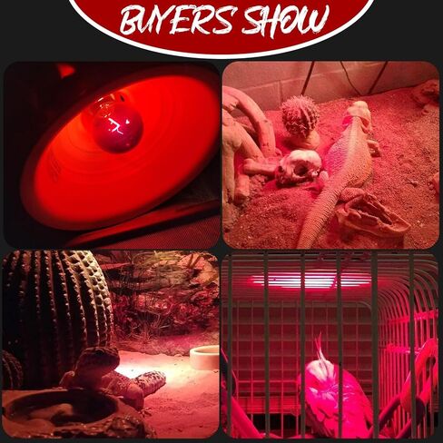 OMAYKEY 75 واط الأشعة تحت الحمراء بقعة مصباح الحرارة لمبة الضوء الأحمر الزجاج مصابيح التدفئة لمبات السحلية الأفعى الحرباء الملتحي التنين حوض السمك الزواحف والبرمائيات، 2 حزمة in Kuwait