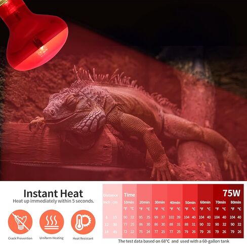 OMAYKEY 75 واط الأشعة تحت الحمراء بقعة مصباح الحرارة لمبة الضوء الأحمر الزجاج مصابيح التدفئة لمبات السحلية الأفعى الحرباء الملتحي التنين حوض السمك الزواحف والبرمائيات، 2 حزمة in Kuwait