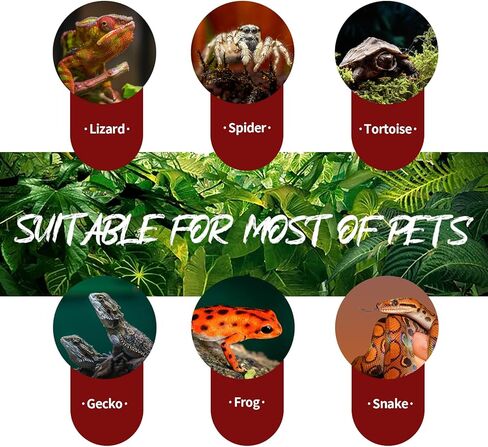 OMAYKEY 75 واط الأشعة تحت الحمراء بقعة مصباح الحرارة لمبة الضوء الأحمر الزجاج مصابيح التدفئة لمبات السحلية الأفعى الحرباء الملتحي التنين حوض السمك الزواحف والبرمائيات، 2 حزمة in Kuwait