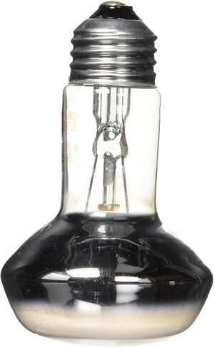 Zoo Med Repti Basking Spot Lamp Value Pack, 75 Watts in Saudi Arabia