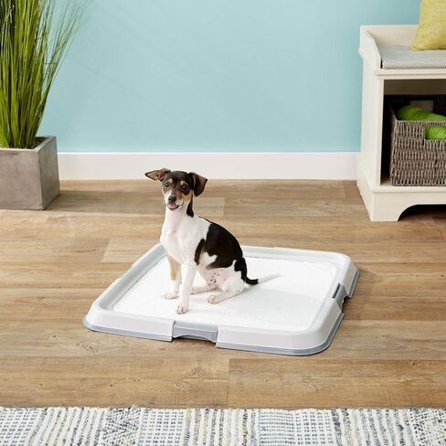 Dogit Dog and Puppy Pee Pads 100 Pack and Pad Holder Combo, Training Pads for Dogs in Saudi Arabia