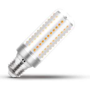 E26/E27 200W مكافئ لمبة ضوء الذرة LED، 20W 3000LM غير قابلة للتعتيم 6000K ضوء النهار الأبيض، مشرق عالي الإخراج E26 لمبة LED متوسطة القاعدة لمروحة السقف الشمعدانات المنزلية المرآب مستودع داخلي، 1 حزمة in Kuwait